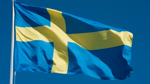 Swedish Flag Waves the Wind HD Pro 30 Stock Footage 111454915