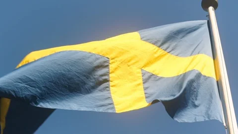 Swedish Flag Waving Stock Footage 94557674