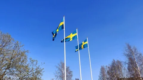 Swedish flag waving under the blue sky in flagpoles during the national day cele Stock Footage 108122841