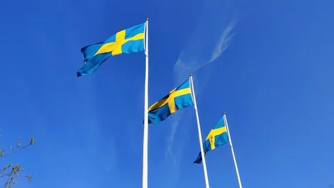 Swedish flag waving under the clear blue sky in flagpoles during the national  Stock Footage 108122819