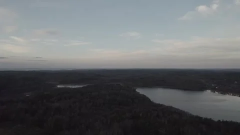 Swedish forest no snow winter landscape aerial drone flat d-log 스톡 동영상 321801909