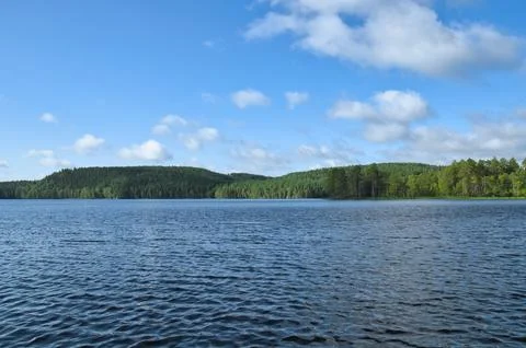 Swedish lake with forest reflection under blue sky on a sunny day Stock Photos
