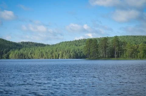 Swedish lake with forest reflection under blue sky on a sunny day Stock Photos