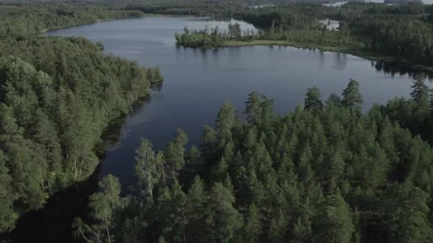 Swedish lakes Video stock 168693365