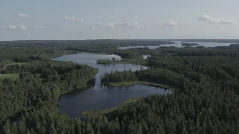 Swedish Landscape 3 Video stock 168693358