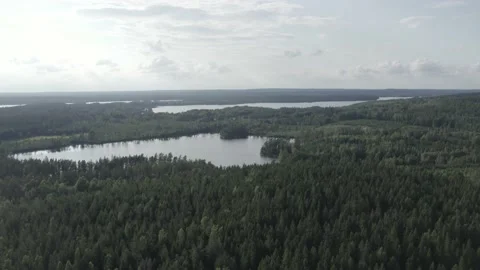 Swedish Landscape 4 Video stock 168693232