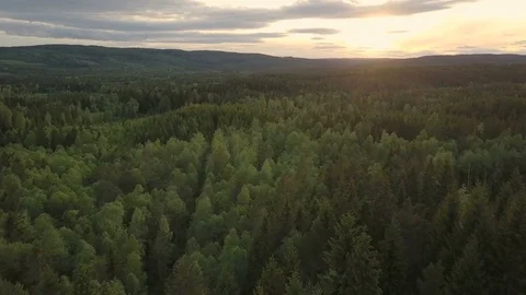 Swedish landscape by drone Stock Footage 78540493