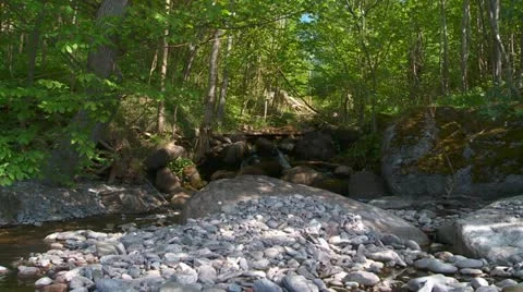 Swedish landscape Stock Footage 11109491