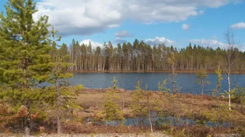 Swedish landscape Stock Footage 11110837