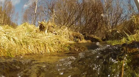 Swedish landscape Stock Footage 11112059