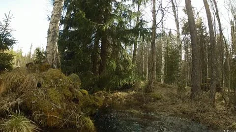 Swedish landscape Stock Footage 11130263