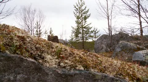 Swedish landscape Stock Footage 11130362