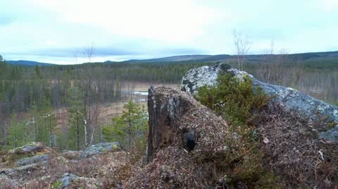 Swedish landscape Stock Footage 11130843