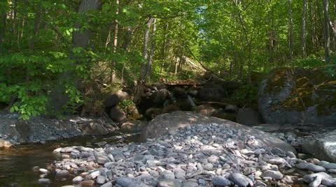 Swedish landscape Stock Footage 11131207