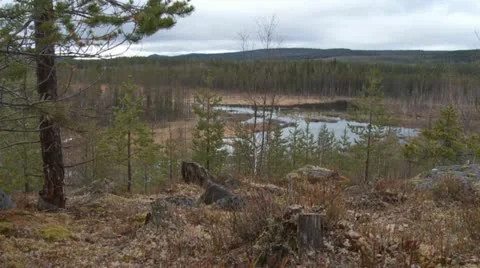 Swedish landscape Stock Footage 11142958