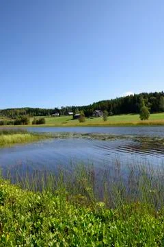 Swedish landscape Stock-Fotos