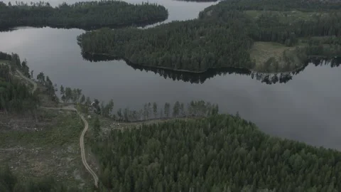 Swedish nature 2 (Misty) Stock Footage 168693545