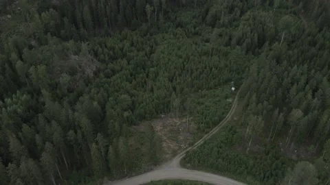 Swedish nature (Misty) Stock Footage 168693379