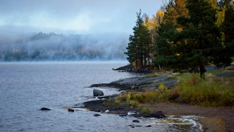 Swedish nature Stock Photos