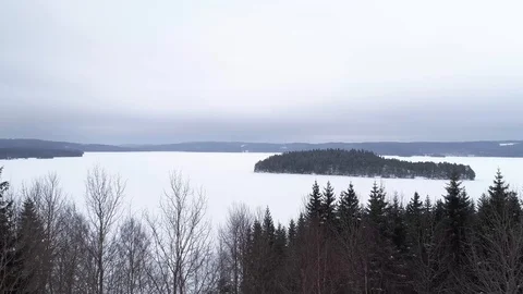 Swedish Nature preserve drone view winter Stock Footage
