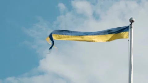 Swedish Pennant Stock Footage 131378538
