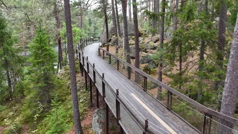 Swedish Pine Forest Boardwalk over Moss, Granite, and Water Vidéo 347676887