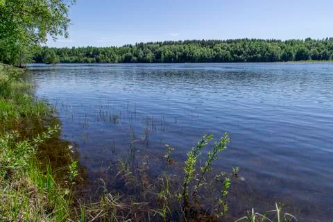 Swedish River with Forest Stock Photos