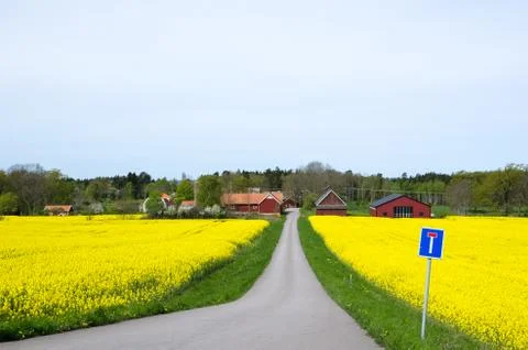 Swedish spring landscape Stock Photos
