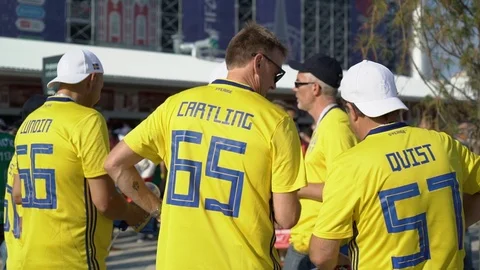 Swedish supporters chatting inside of the stadium Video stock 120500764