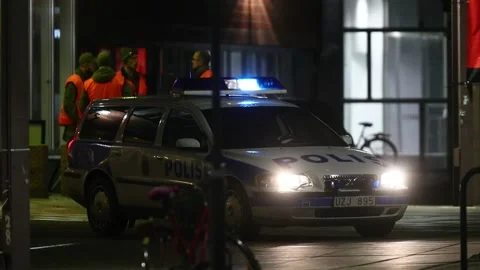 Swedish task force Stock Footage 148110764