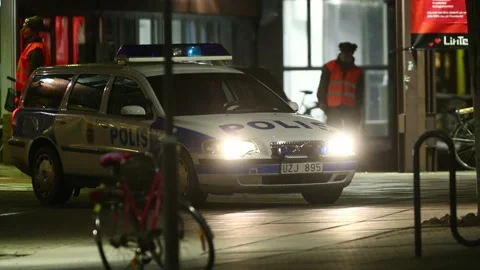 Swedish task force Stock Footage 148110767