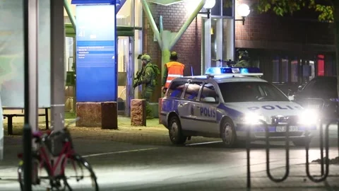 Swedish task force Video stock 148110790