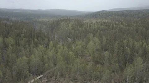 Swedish waterfall in summer Stock Footage