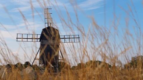 Swedish windmill with a grainfield in the front Stock-Footage 95248496