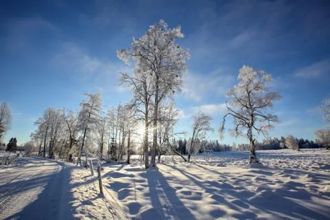 Swedish winter Foto stock