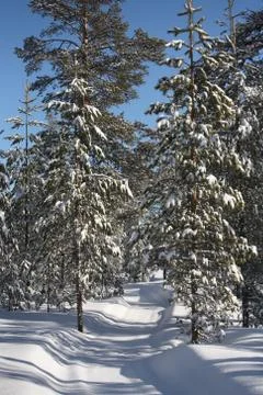 Swedish winter Stock Photos