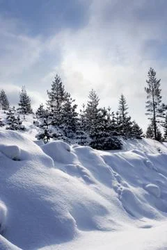 Swedish winter Stock Photos