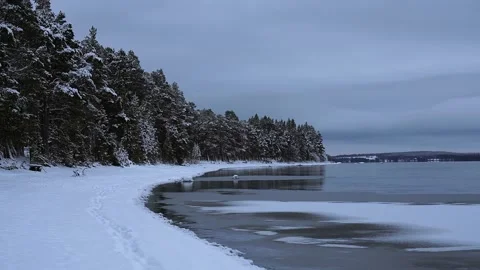 Swedish winter view over the forest and frozen lake with a trail in snow Stock Footage