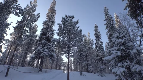 Swedish Winters Day - Handheld Explorer Stock Footage 243302452