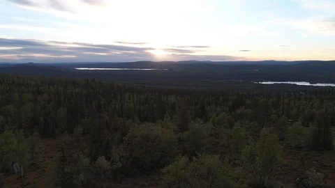 Swedish woods Stock Footage 106246672