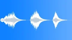 SWEEP, ACCENTSound Effect