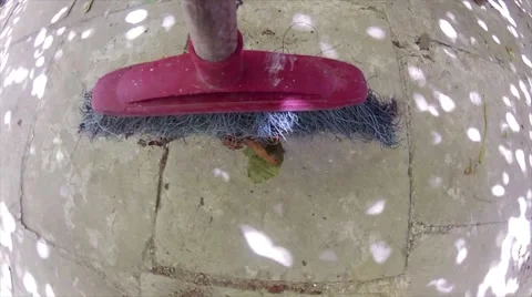 Sweep the floor Video stock 42460993