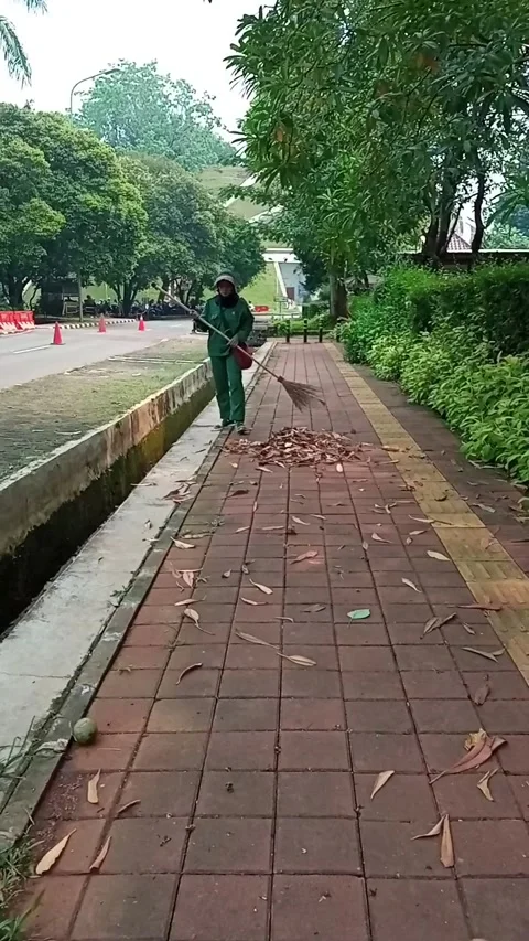 The sweeper on campus pedestrian walkway Stock Footage 158234763