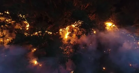 A sweeping aerial view captures a forest fire raging at night Stock Footage 291739891