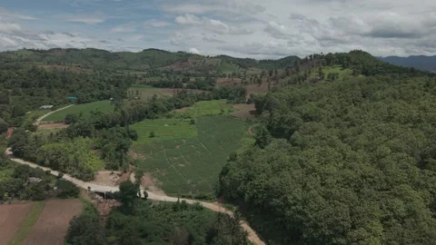 Sweeping Aerial View of Vast Hill Valley, Green Grass, Dark Earth and Monso.. Stock Footage 337600500