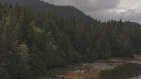 Sweeping coastline of Pine Trees in front of Alaskan Lake drone Stock Footage 255317594