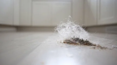 Sweeping debris in garbage, video Stock Footage 71399705