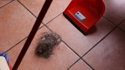 Sweeping dirt and dust from the floor with a broom into a dustpan Stock Footage 129508591