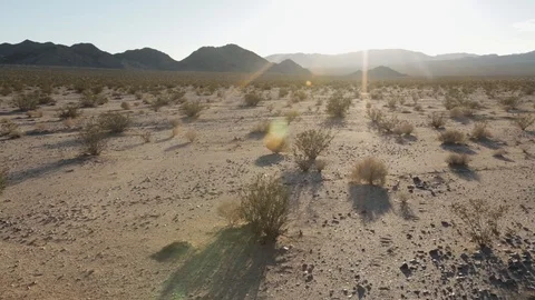 Sweeping down to view of Death Valley landscape 動画素材 92375832
