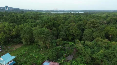 Sweeping drone footage capturing a vibrant forest alongside a tranquil wate.. Video stock 339032281
